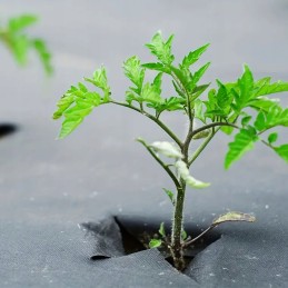 Agrotekstilė sodo kilimėlis agrotekstilė juoda žieminė 50 mx 1,6 m 90 g