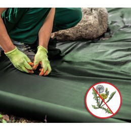 Augintas audinys žalias 1 6m 150g uv 45m bellushortus