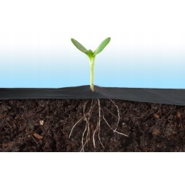 ✅juoda sodo agrotekstilė su smeigtukais✅