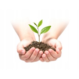 ✅juoda sodo agrotekstilė su smeigtukais✅