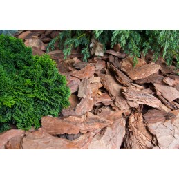 ✨Agritella mulčiuojantis agroaudinis nuo piktžolių