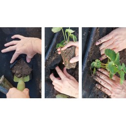 Agrotkanina mulčiavimo kilimėlis nuo piktžolių 70g/m2 ritinys 1,6x100 m