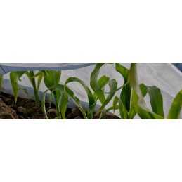 Pavasarinė agrotekstilė p17 1,6x5m agromarina