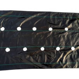 Agrotekstilė nuo piktžolių su paruoštomis skylutėmis agurkams, braškėms, avietėms, mėlynėms, gėlėms, dekoratyviniams medžiams ir