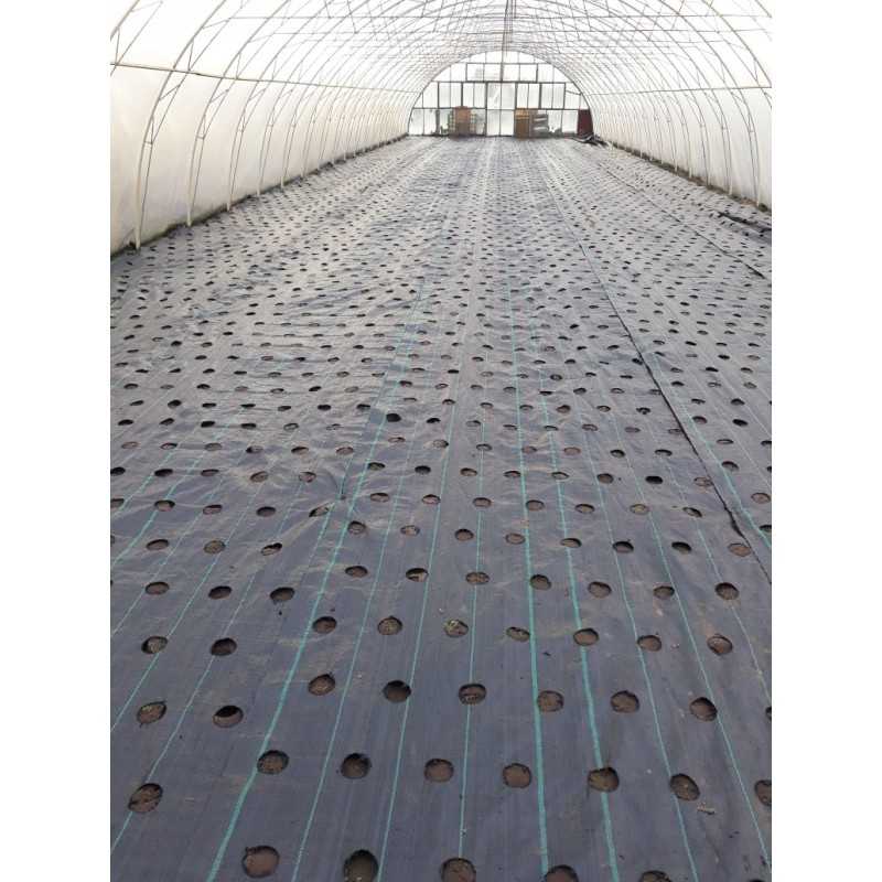 Žemės ūkio audinys su skylutėmis sodinukams 3 eilės 110cm