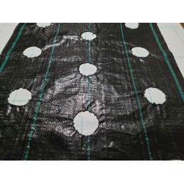 Žemės ūkio audinys su skylutėmis sodinukams 3 eilės 110cm