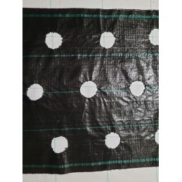 Žemės ūkio audinys su skylutėmis sodinukams 3 eilės 110cm