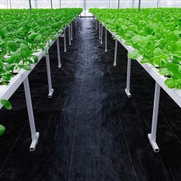 Storas žemės ūkio audinys apsaugos nuo piktžolių uv agro audinys 90g m 1 6x100m 100 smeigtukai