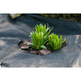 Agrotekstilė 20m x 3,2m juodi UV inkarai 30vnt