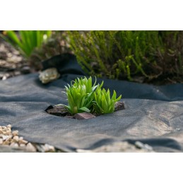 Agrotekstilė 20m x 3,2m juodi UV inkarai 30vnt