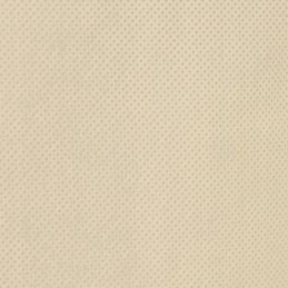 Augalų apsaugos gaubtas, su užtrauktuku, 70 g/m², 3,93x3 m