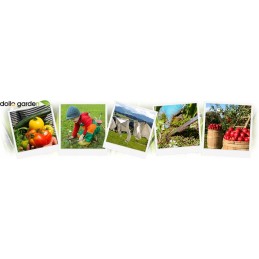 ⭐⭐Agrotekstilė agrotekstilė 1,1 x 100 m + 100 kaiščių⭐⭐