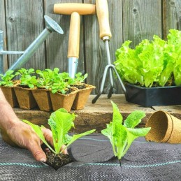 Agrotekstilė nuo piktžolių 70g 0,8x 100m UV