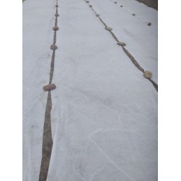 Balta žieminė agrotekstilė, stora, 1,6x100m, pl atsilikusi