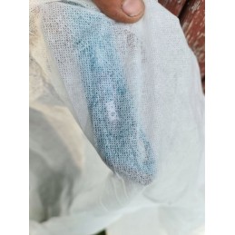 Balta žieminė agrotekstilė, stora, 1,6x100m, pl atsilikusi