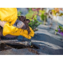 Agrowwoven black 1 1m 150g uv 70m bellushortus