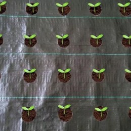 Agrotkanina agrotekstilės kilimėlis 90g 1,6x 50m