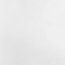 Vidaxl augalų apsaugos gaubtas, su užtrauktuku, 70 g/m², 3,93x3,5 m