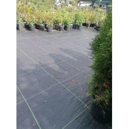 Agrotaudinis 100g - plotis 0,8m x 100m