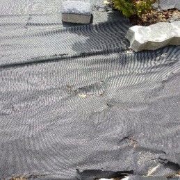 Agrowwoven garden 1 6 mx 100 m 100 pins plonos