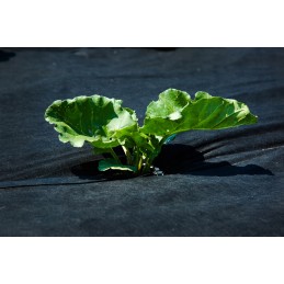 UV agrotekstilė p-100g/m2 1,2x30m juoda storio!!!