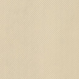 Vidaxl apsauginiai gaubtai su užtrauktuku, 2 vnt., 70 g/m² 2,36x2 m