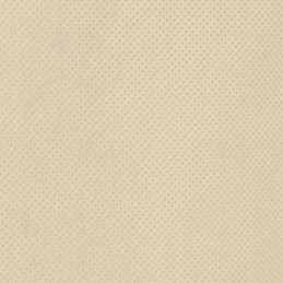 Neaustiniai sodo augalų gaubtai, su virvelėmis, 8 vnt., 70 g/m², 0,8x