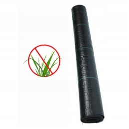 Agroaudiniai skyles po tuje fi15cm kas 60cm 1 1x50m