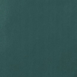 Apsauginis gaubtas augalams su užtrauktuku 70 g m2 3 93x3 m