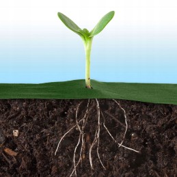 Plonos sodo agrotekstilė 1,6 m x 100 m + 100 smeigtukų