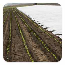 Bradas dengianti agrotekstile 1,6x10 balta pavasario ir žiemos aww3016010