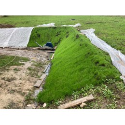 Geožolės geotekstilės neaustinis audinys su žolės sėklomis, matmenys 2,2 m x 10 m