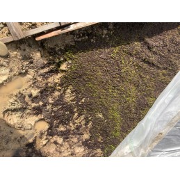 Geožolės geotekstilės neaustinis audinys su žolės sėklomis, matmenys 2,2 m x 10 m