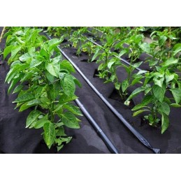 Lenkiška agrotekstilė/agroaudinys nuo piktžolių, kilimėlis nuo piktžolių 50g juodas 1,06x100m + 100 smeigtukų 15cm nemokamai