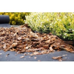 Polish agrotextile / agrotextile for weeds, anti-weed mat 50g black 1.06x100m + 100 pins 15cm for free