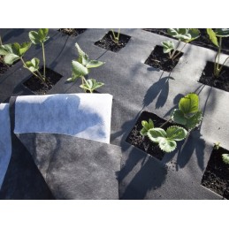 Svarbi informacija - agrotekstilė siunčiama ant 160 cm ritinio!!! jis nesulenktas per pusę kaip kituose aukcionuose