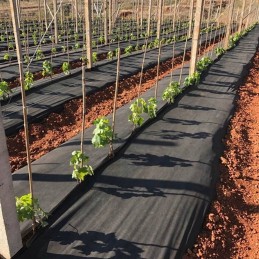 Awb5032050 agrotekstilė 50 juoda nuo piktžolių žieminė 3,2x50m