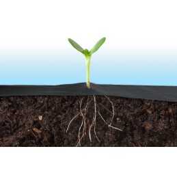 Agrotekstilė nuo piktžolių agrotekstilės UV kilimėlio storio 0,8x5m + inkariniai kaiščiai