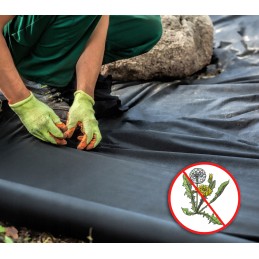 Augintas audinys juodas 3 2m 50g su UV 80m bellushortus