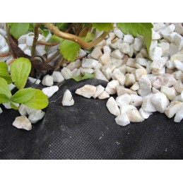 》》》 Agrotekstilė nuo piktžolių juoda agrotekstilė 50g 1,6x100m awb5016100 《《《