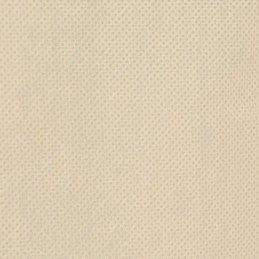 Neaustiniai sodo augalų gaubtai, su užtrauktuku, 4 vnt., 70 g/m², 1x1,55 m