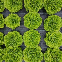 Agrotkanina agrotekstilės kilimėlis 90g 1,6x 50m