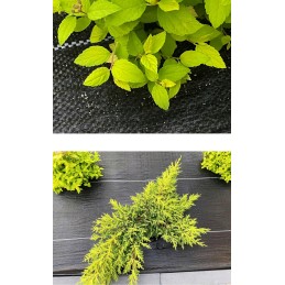 Agrotekstilė 135g 1,1x50m premium UV 3% agrotekstilė juodas kilimėlis + kaiščiai