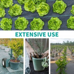 Agrotekstilė nuo piktžolių, juoda UV, 90g, 1,1 x 100m