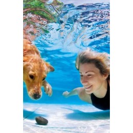 Sodo baseinas 305 x 76 cm, įrėmintas, Avenli, 14in1