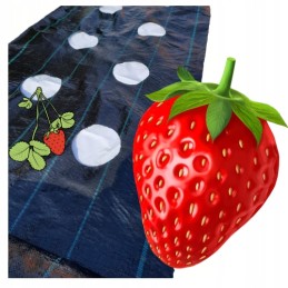 Agrotekstas su paruoštomis skylutėmis braškių, agurkų, salotų, pomidorų ir kt. sodinukams.