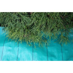 Agrotella mulčiavimo audinys 3,2x10m 105g žalias