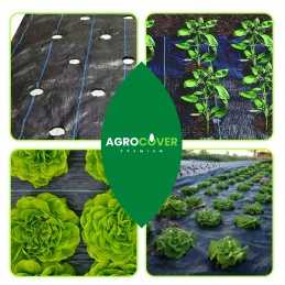 Žemės ūkio audinys salotoms su skylutėmis metre!!!