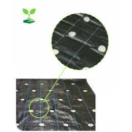 Žemės ūkio audinys salotoms su skylutėmis metre!!!