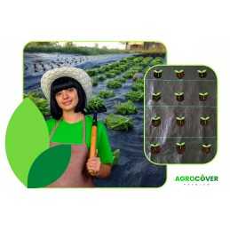 Žemės ūkio audinys salotoms su skylutėmis metre!!!